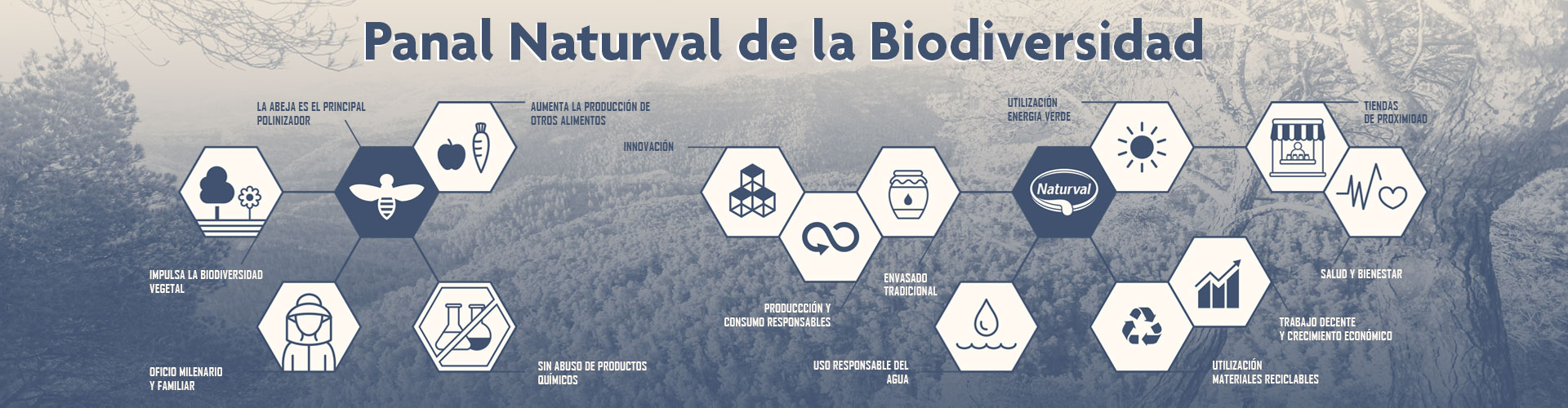 Panal-Naturval—banner-web