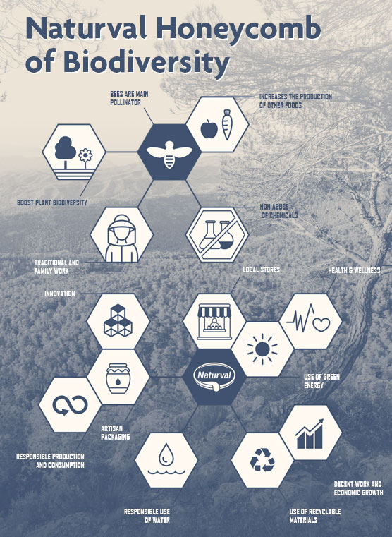 Naturval Honeycomb of Biodiversity