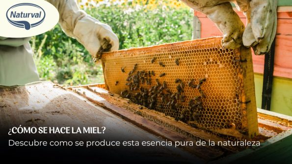 cómo se hace la miel