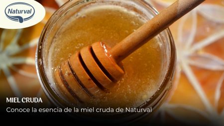 Néctar puro: miel cruda sin filtrar