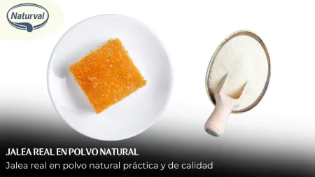 Jalea Real: un completo suplemento natural para energía y bienestar