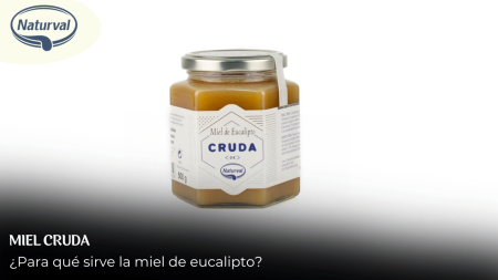Consigue la mejor miel eucalipal: Naturval te ofrece calidad en cada frasco
