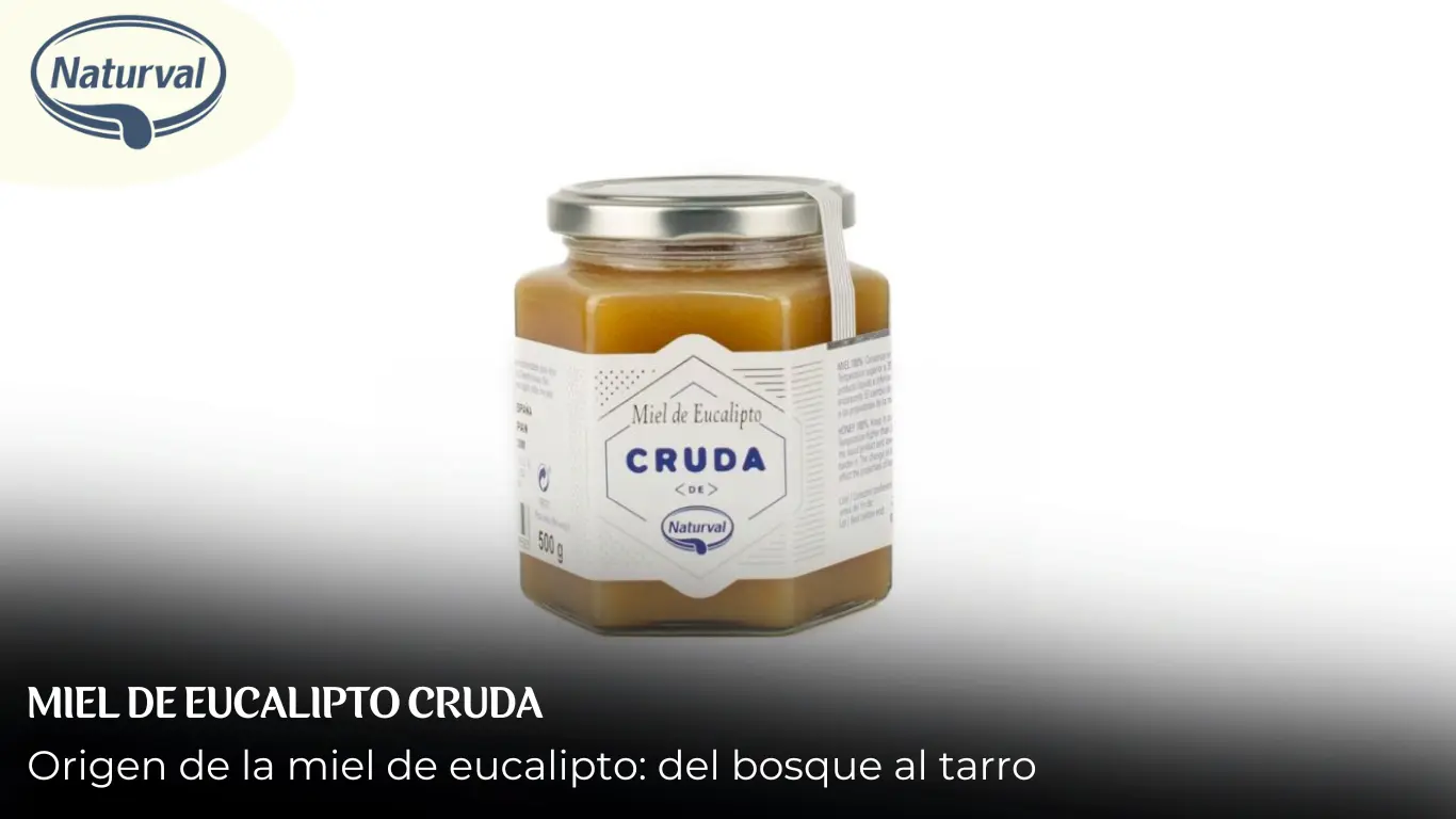 origen miel de eucalipto