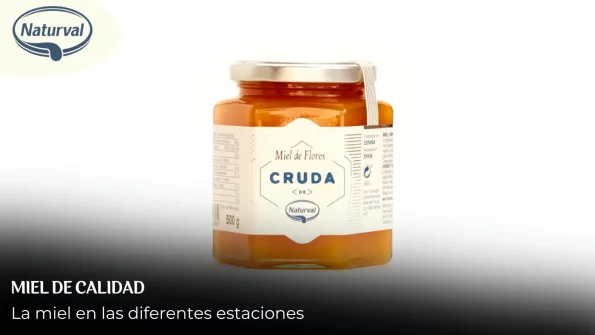 que miel consumir segun la estacion del año