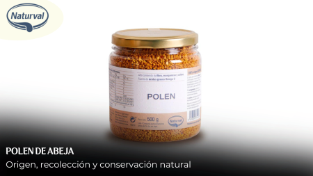 ¿Cuál es el mejor polen de abeja? Descubre con Naturval